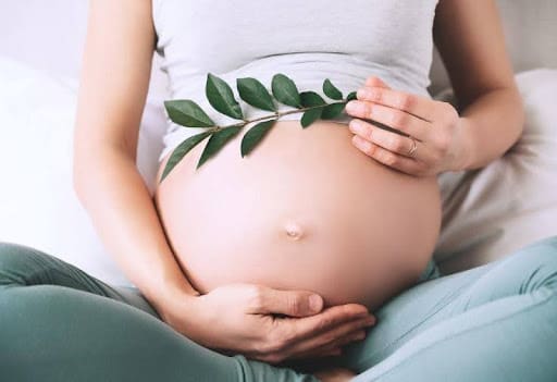 A pregnant woman holding a plant in her lap.